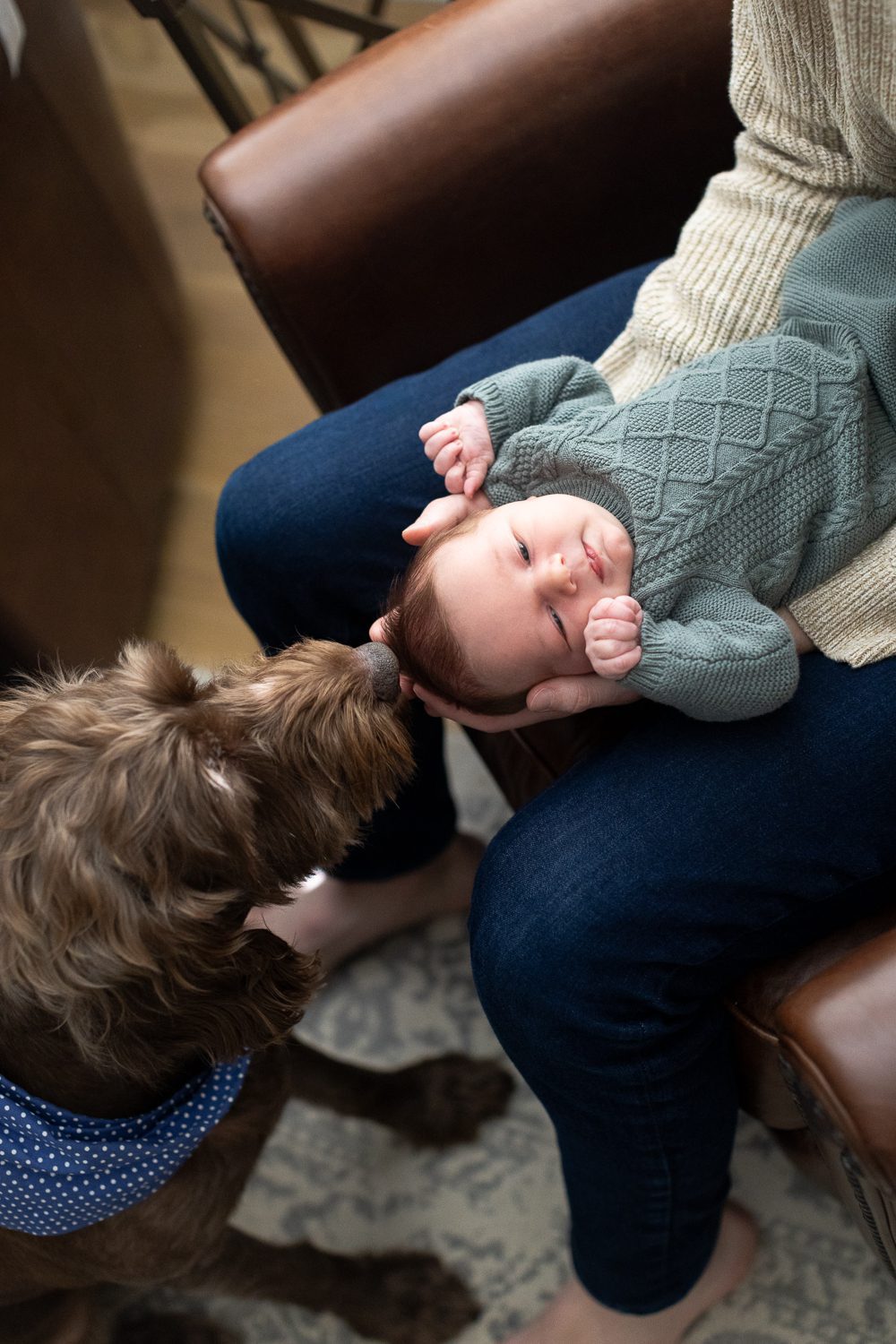 Jina Lee Photography | Smyrna Newborn Photographer